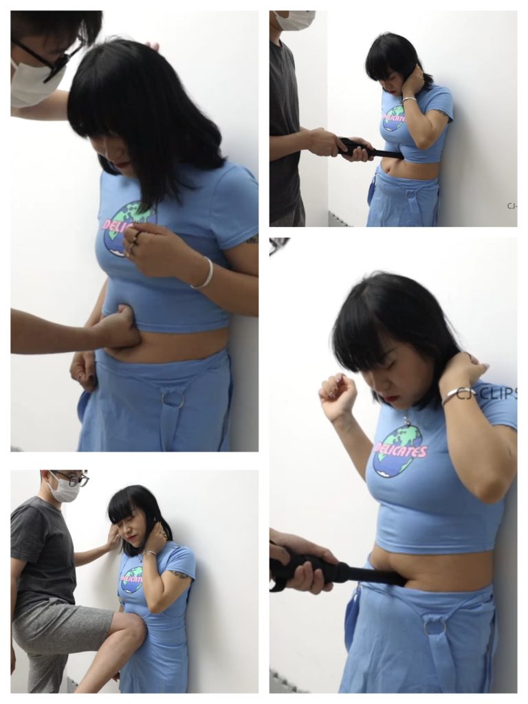 CJ-231-1080P